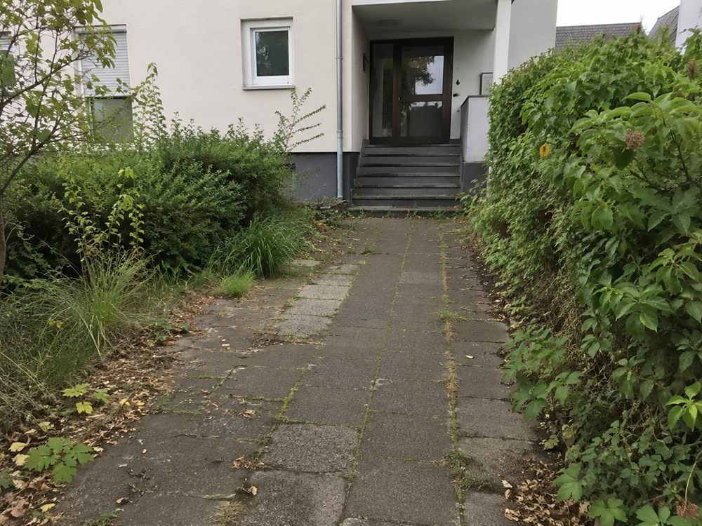Vorher: Hauseingang nach der Pflege